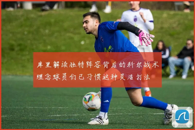 库里解读独特阵容背后的科尔战术理念球员们已习惯这种灵活打法